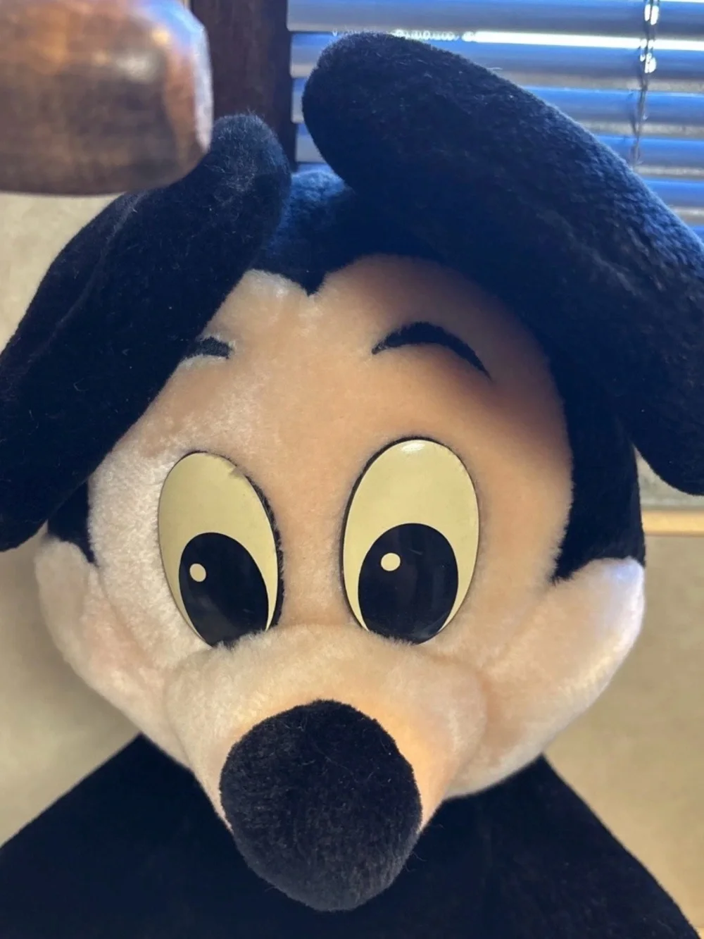 Disneyland Walt Disney World MICKEY MOUSE Large 20